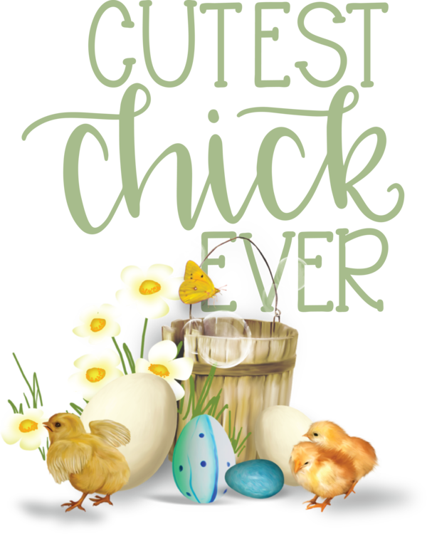 Transparent Easter Text Flower Meter for Easter Chick for Easter
