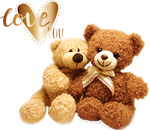 Transparent Valentine's Day Bears Teddy bear Brown Teddy Bear for Valentines for Valentines Day