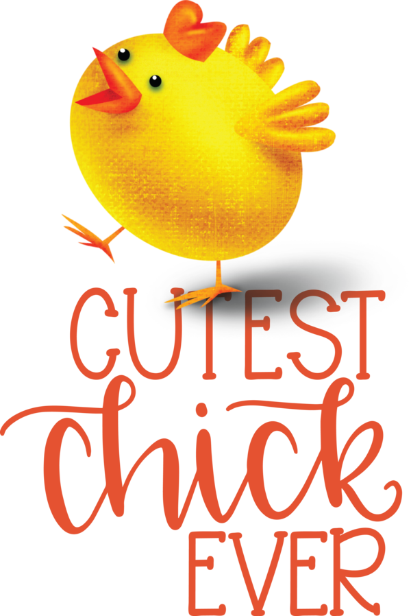 Transparent Easter Birds Logo Beak for Easter Chick for Easter