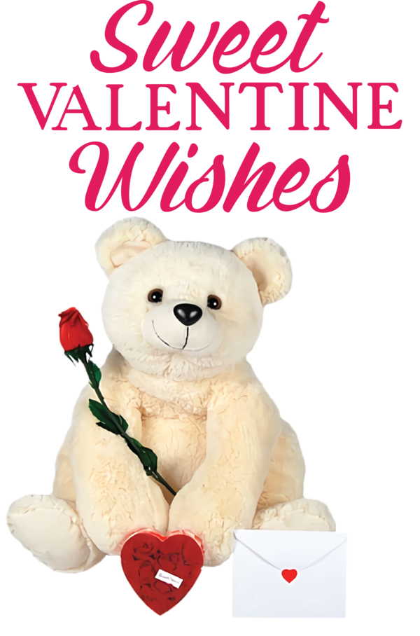 Transparent Valentine's Day Teddy bear Stuffed toy Bears for Valentines for Valentines Day