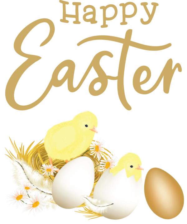 Transparent Easter Easter egg Text Yellow for Easter Day for Easter