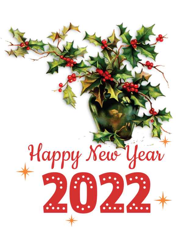 Transparent New Year Christmas Graphics Common holly Mistletoe for Happy New Year 2022 for New Year