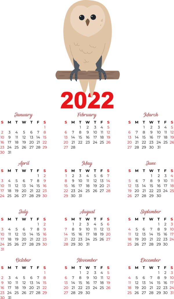 Transparent New Year calendar 2022 Design for Printable 2022 Calendar for New Year