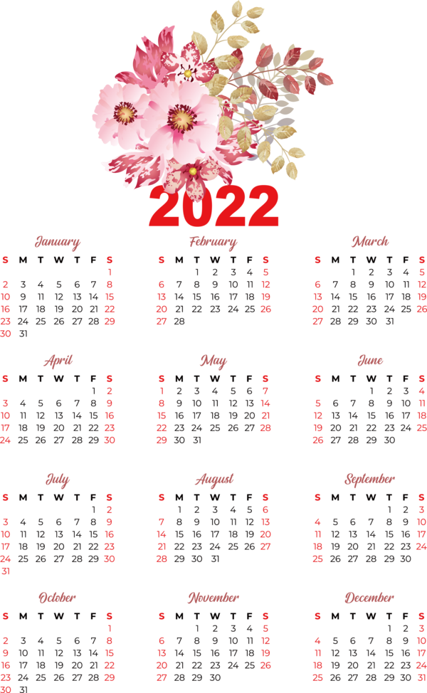 Transparent New Year calendar Calendário fevereiro 2022 Calendar date for Printable 2022 Calendar for New Year