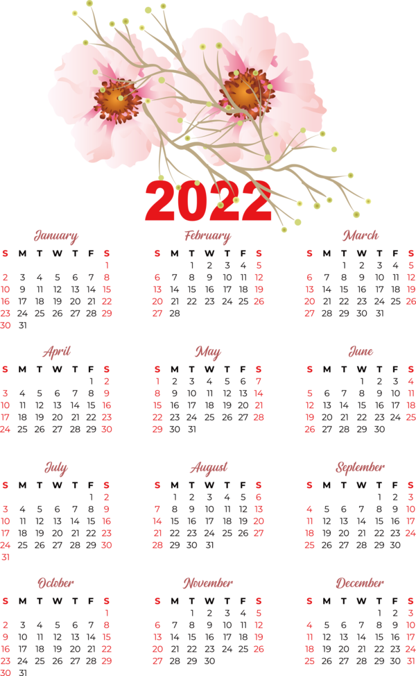 Transparent New Year calendar Calendário fevereiro 2022 2022 for Printable 2022 Calendar for New Year