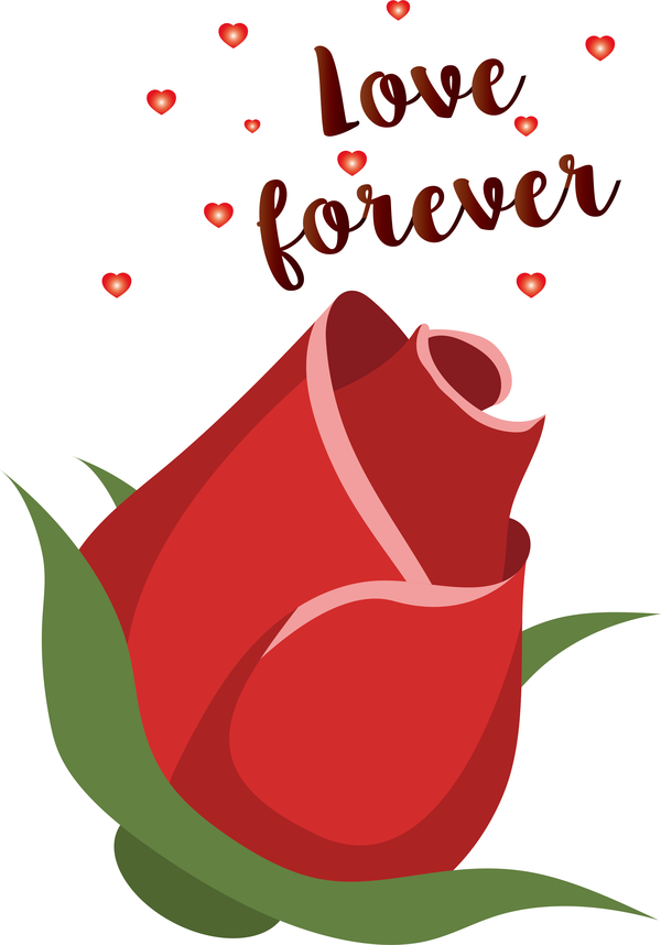 Transparent Valentine's Day Flower Petal Greeting Card for Valentines for Valentines Day