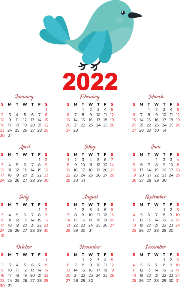 Transparent New Year 2021–22 Premier League Manchester United F.C. 2021 for Printable 2022 Calendar for New Year
