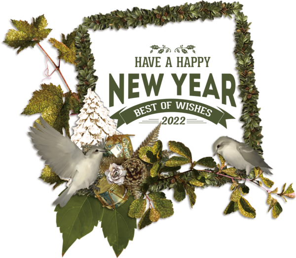 Transparent New Year Tree Tree of life Shrub for Happy New Year 2022 for New Year