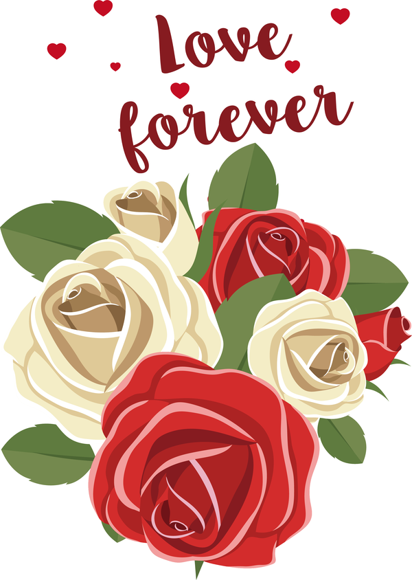 Transparent Valentine's Day Flower Rose Garden roses for Valentines for Valentines Day