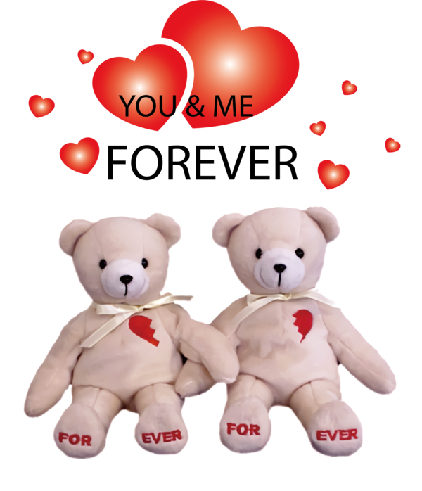 Transparent Valentine's Day Bears Teddy bear Friend Bear for Valentines Day Quotes for Valentines Day