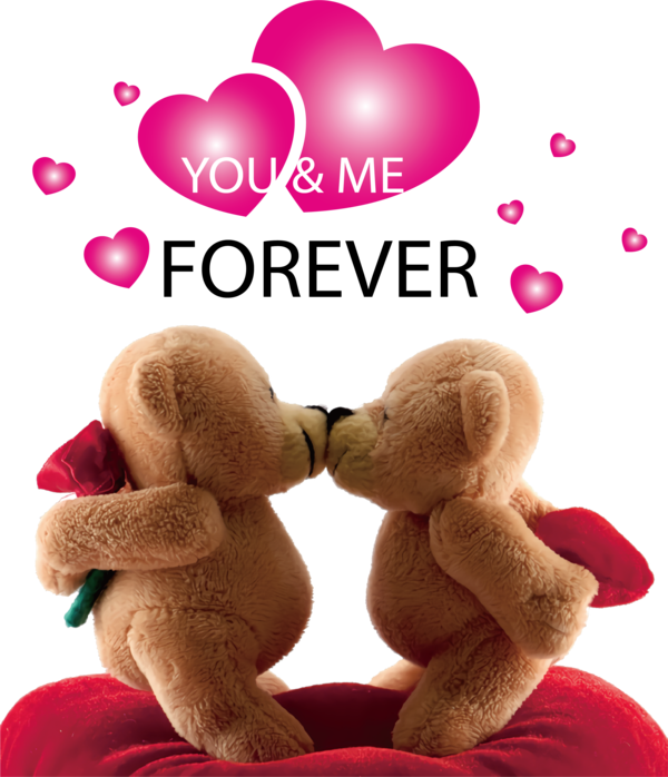 Transparent Valentine's Day Bears Teddy bear Valentine's Day for Valentines Day Quotes for Valentines Day