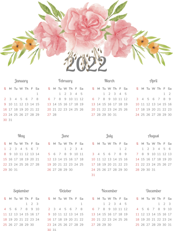 Transparent New Year Monthly Calendars With Pics calendar Floral design for Printable 2022 Calendar for New Year