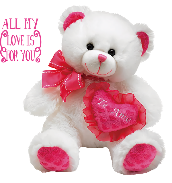 Transparent Valentine's Day Bears Valentine's Day Greeting Card for Teddy Bear for Valentines Day