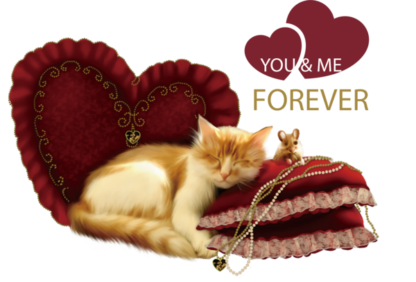 Transparent Valentine's Day Kitten Bambino Black cat for Valentines Day Quotes for Valentines Day
