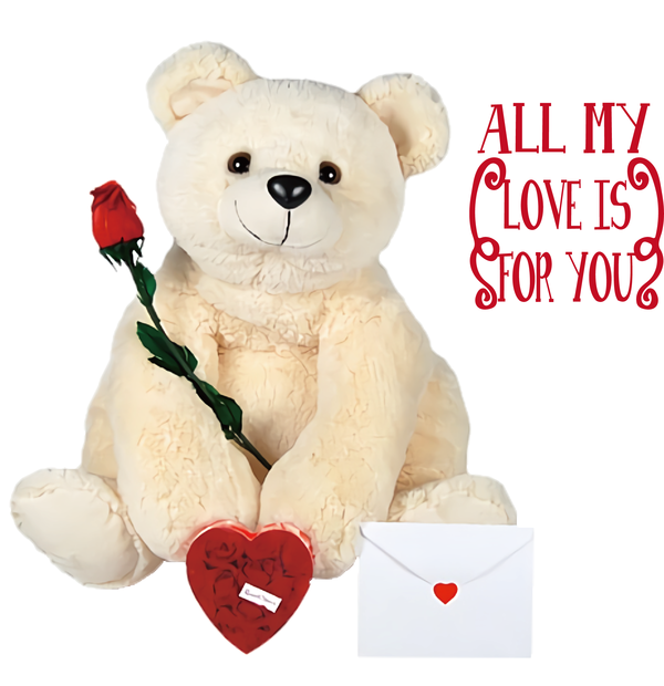 Transparent Valentine's Day Friendship Birthday Valentine's Day for Teddy Bear for Valentines Day