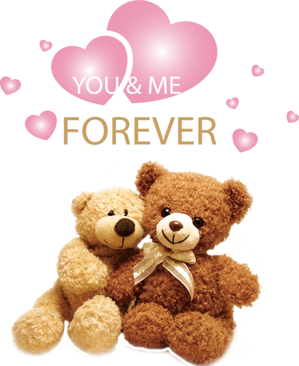 Transparent Valentine's Day Bears Teddy bear Me and My Teddy Bear for Valentines Day Quotes for Valentines Day