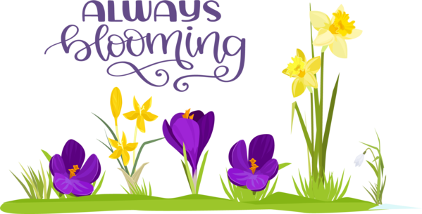 Transparent Easter Crocus Design Floral design for Hello Spring for Easter