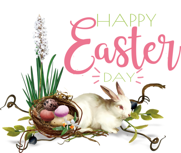 Transparent Easter Easter Bunny Easter egg Hares for Easter Day for Easter