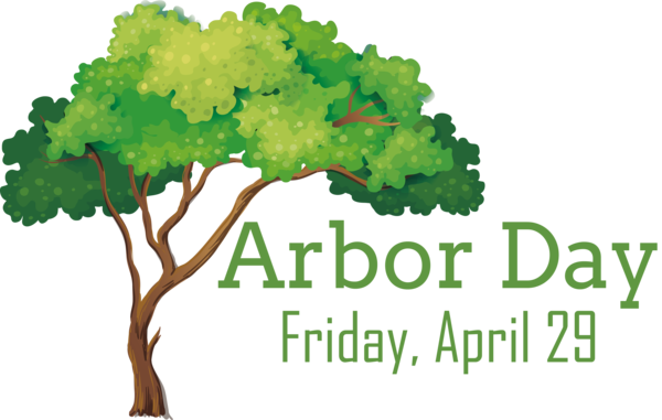 Transparent Arbor Day Drawing Tree for Happy Arbor Day for Arbor Day