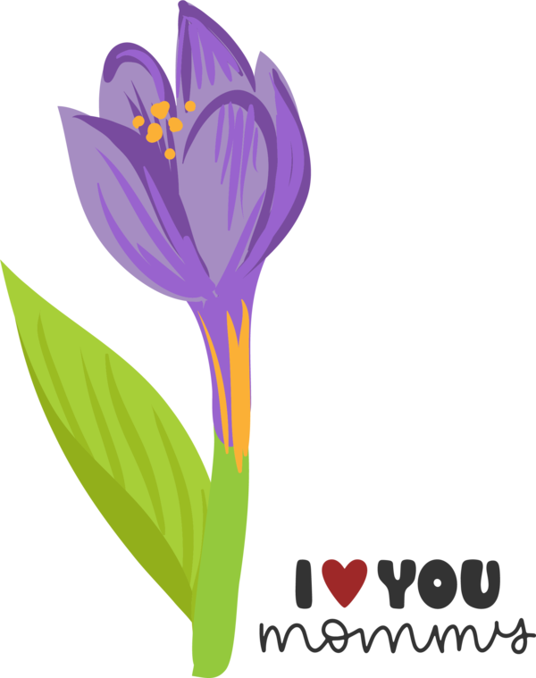 Transparent Mother's Day Flower Crocus Logo for Love You Mom for Mothers Day