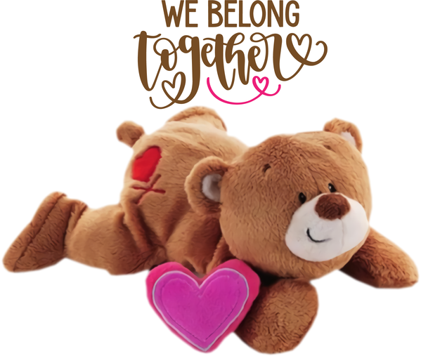 Transparent Valentine's Day Bears Cartoon Network Brown bear for Teddy Bear for Valentines Day