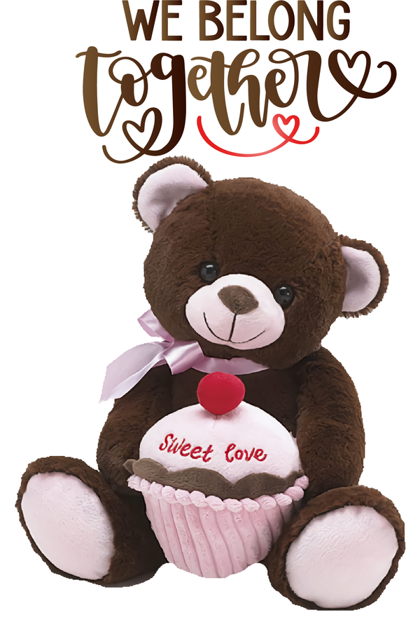 Transparent Valentine's Day Stuffed toy Teddy bear Bears for Teddy Bear for Valentines Day