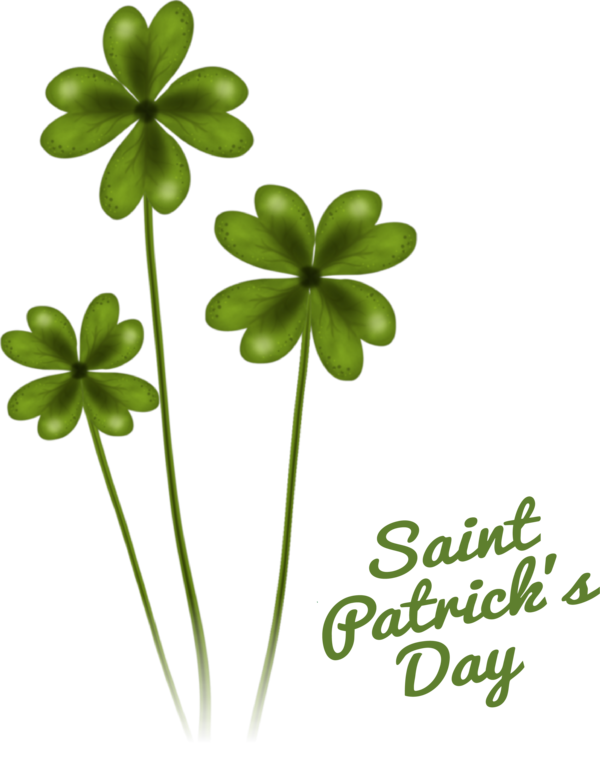 Transparent St. Patrick's Day Four-leaf clover Flower Shamrock for Four Leaf Clover for St Patricks Day