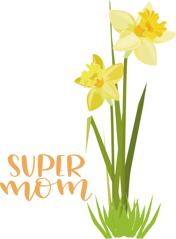 Transparent Mother's Day Plant stem Daffodil Floral design for Happy Mother's Day for Mothers Day