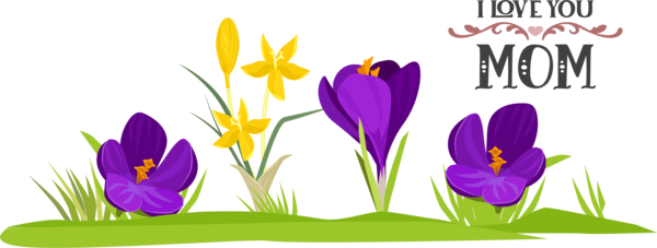 Transparent Mother's Day Crocus Art 2018 Design for Love You Mom for Mothers Day