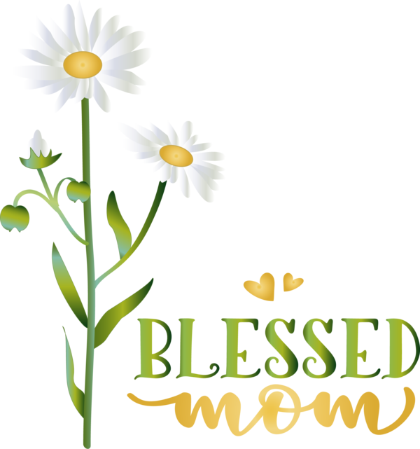 Transparent Mother's Day Flower Floral design Cut flowers for Blessed Mom for Mothers Day