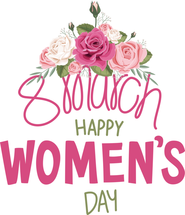 Transparent International Women's Day 2018–19 V.League Division 1 Women's V.League Division 1 Women COMBO PACKAGE for Women's Day for International Womens Day