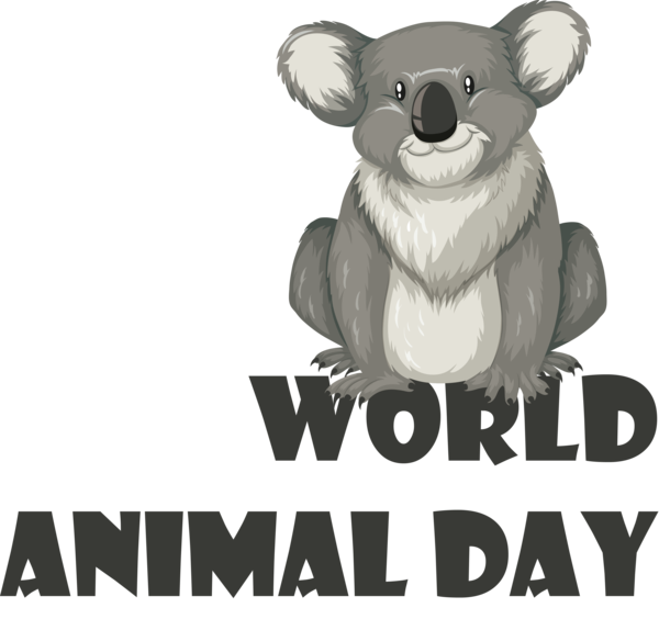 Transparent World Animal Day Koala Bears Marsupials for Animal Day for World Animal Day