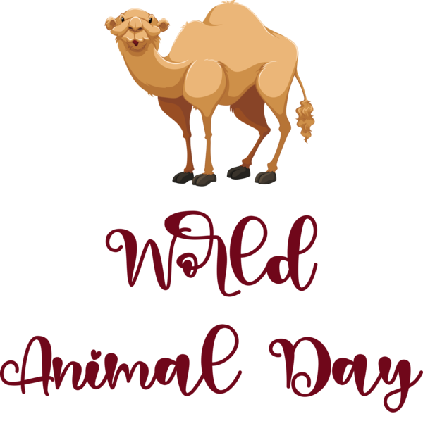 Transparent World Animal Day Dromedary Logo Snout for Animal Day for World Animal Day