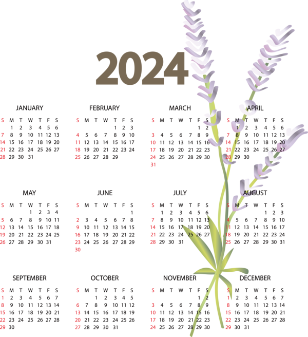 Transparent New Year Flower Line calendar for Printable 2024 Calendar for New Year
