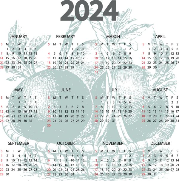 Transparent New Year calendar Week Names of the days of the week for Printable 2024 Calendar for New Year