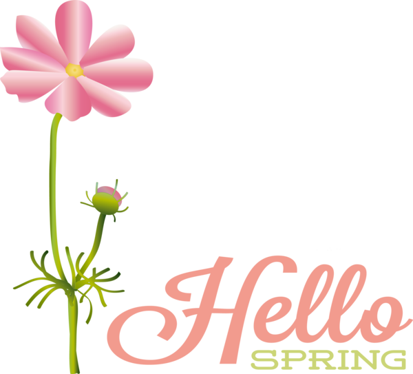 Transparent Easter Plant stem Cut flowers Floral design for Hello Spring for Easter
