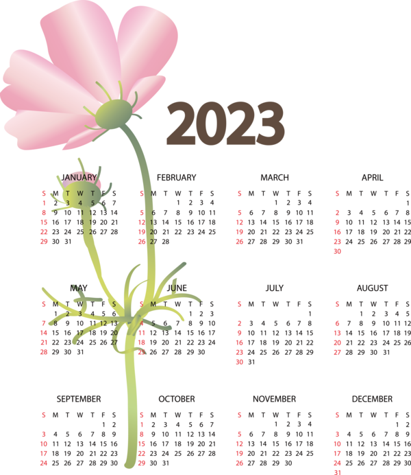 Transparent New Year Floral design calendar Design for Printable 2023 Calendar for New Year