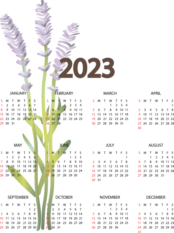 Transparent New Year Flower calendar Line for Printable 2023 Calendar for New Year