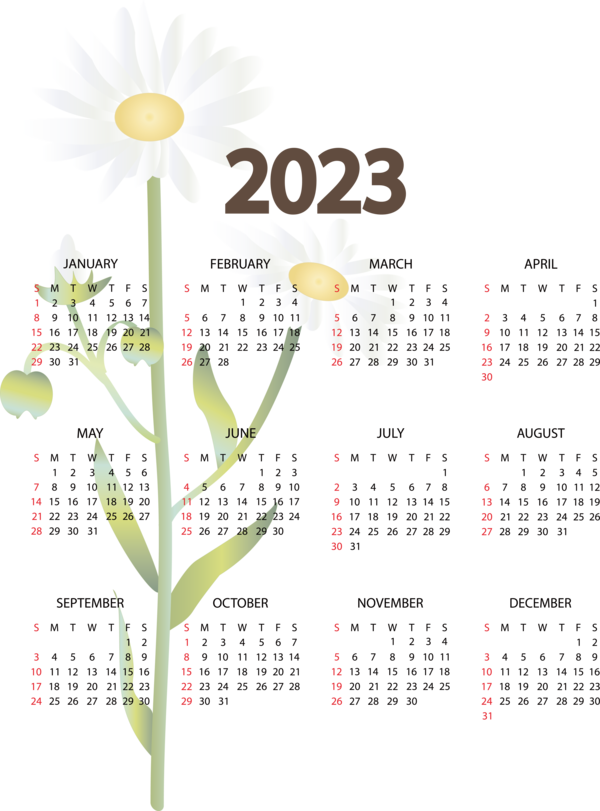 Transparent New Year Flower calendar Design for Printable 2023 Calendar for New Year