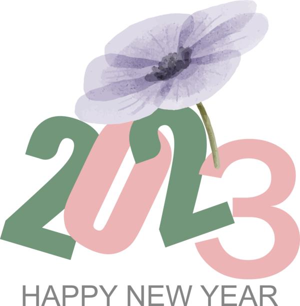 Transparent New Year Floral design Cut flowers Flower for Happy New Year 2023 for New Year