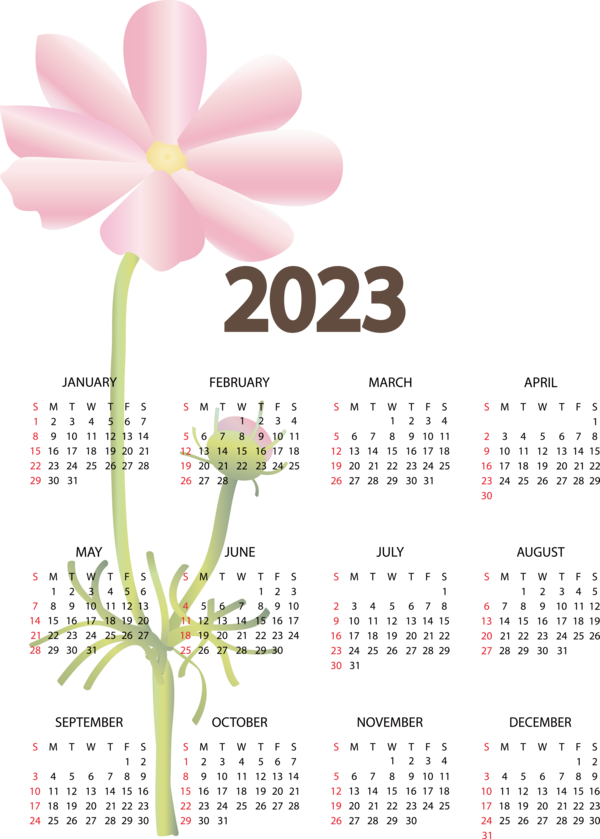 Transparent New Year Flower Floral design Design for Printable 2023 Calendar for New Year