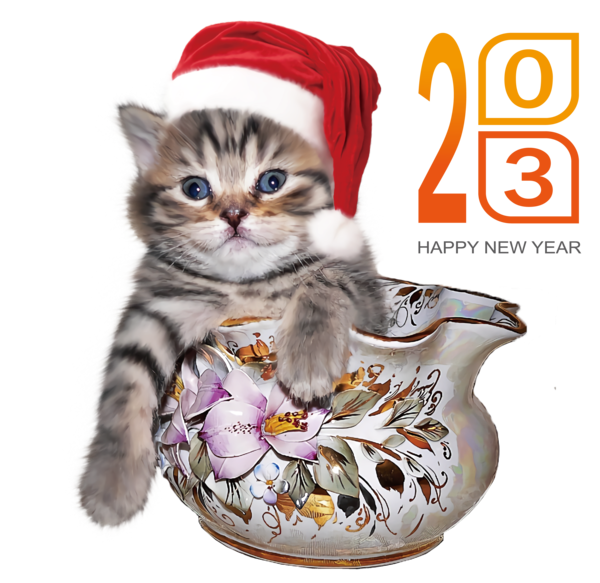 Transparent New Year Poodle Cat Christmas for Happy New Year 2023 for New Year