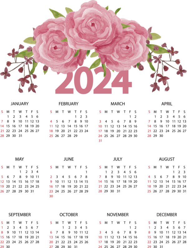 Transparent New Year Floral design Cut flowers Flower for Printable 2024 Calendar for New Year