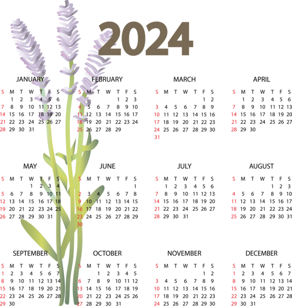 Transparent New Year Flower Line calendar for Printable 2024 Calendar for New Year