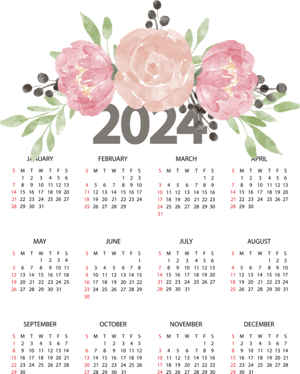 Transparent New Year Flower Peony Painting for Printable 2024 Calendar for New Year