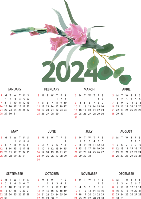 Transparent New Year Flower calendar Line for Printable 2024 Calendar for New Year