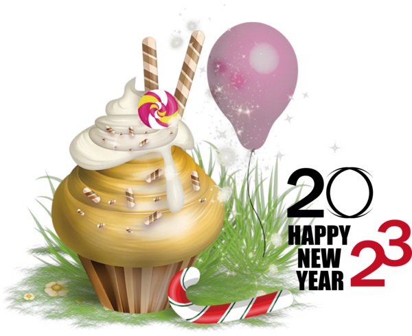 Transparent New Year Chocolate cake Cupcake Red velvet cake for Happy New Year 2023 for New Year