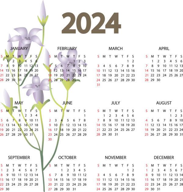 Transparent New Year January calendar! May Calendar calendar for Printable 2024 Calendar for New Year