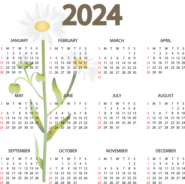 Transparent New Year May Calendar calendar Calendar year for Printable 2024 Calendar for New Year