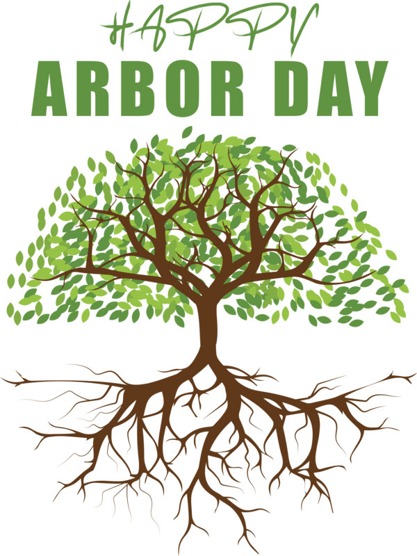 Transparent Arbor Day Tree  Twig for Happy Arbor Day for Arbor Day
